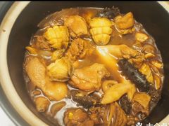 招牌花螺焖鸡煲-十六蒲(桂林路店)