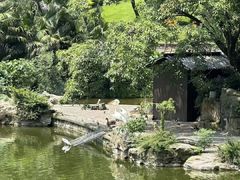 -酒仙湖景区