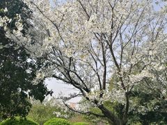 -滆湖低碳生态公园