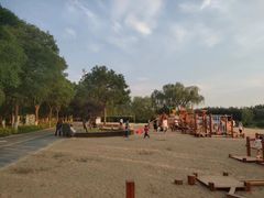 -大兴滨河森林公园