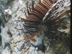 -福州罗源湾海洋世界旅游区