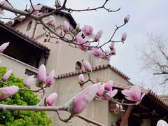 -静园(和平区)