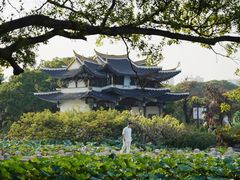 -江心屿景区