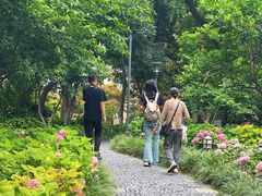 -常州古运河南大街文化旅游区-人民公园