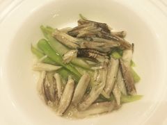 -新光酒家·河豚·海鲜·蟹料理(浦东店)
