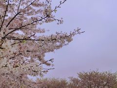-龙美术馆(西岸馆)