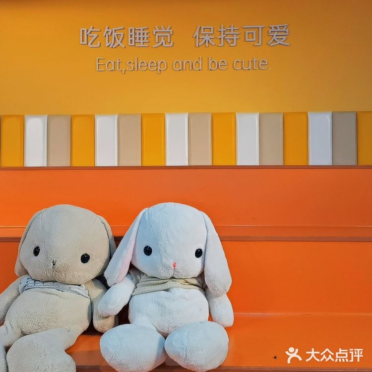 长沙探店 Nice to meet u  萌兔体验馆