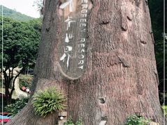 -青青世界