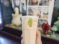 -猫的魔法密林(衣裳街店)