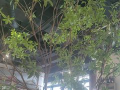 -Pekaa啤咖食肆Coffee&Bistro