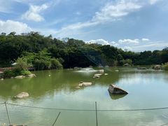 -厦门悦华酒店