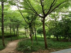 -聚龙山公园
