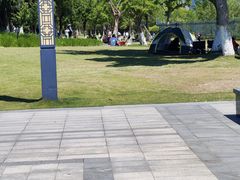 -江滩湿地公园