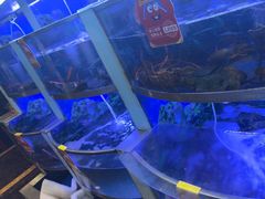 -七欣天香辣蟹火锅(上海银亿滨江店)