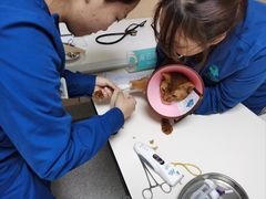 -谐和贝康宠物医院24小时·宠保定点(急重症转诊中心)