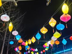 -南宫五洲植物乐园