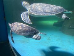 -常州海昌海洋探索馆