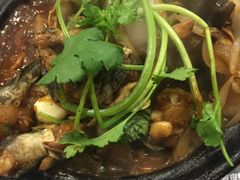 -川香煲(茅台路店)