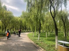 -东郊湿地公园