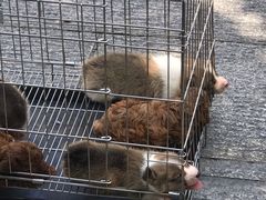 -光明港公园