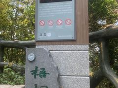 -梧桐山风景名胜区