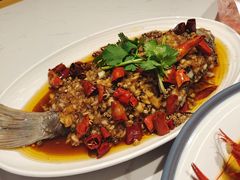 -杨氏青龙虾·羊蝎子(托乐嘉店)