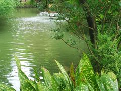 -上海醉白池公园