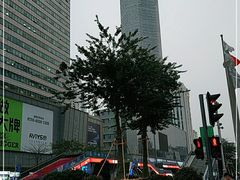 -赛格电子市场(华强北路店)