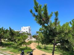 -养马岛旅游度假区