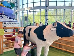 -呼和浩特市老牛儿童探索馆