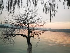 -柳莺湖上·湖景餐厅·江南菜(西湖店)