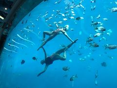 -瑞德姆美人鱼海底演艺主题餐厅(亚龙湾店)