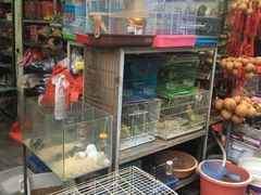 -清平路水族市场