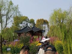 -南汇桃花村