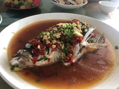 -马陆小张葡萄园农家乐