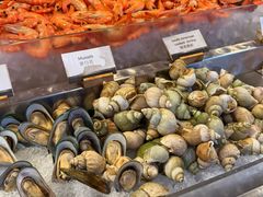 -常州富力喜来登酒店 Feast盛宴标帜西餐厅(新北万达广场店)