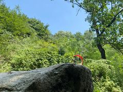 -抱龙峪