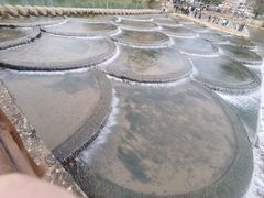 -明仕田园