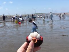 -启东黄金海滩景区