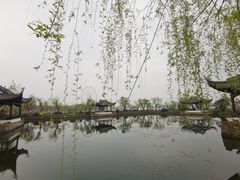 -无锡蠡湖国家湿地公园-蠡园