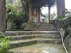景观位-丁丁厨娘