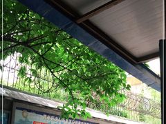 大堂-蓉城西二道无名冒菜(西二道街店)