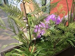 -老湘亲·品鉴湘菜(蔡塘爱琴海店)