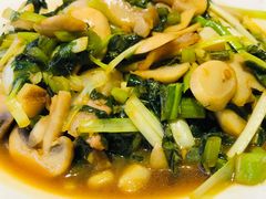 青雪菜炒蘑菇-小聚点餐厅(金隅金座店)