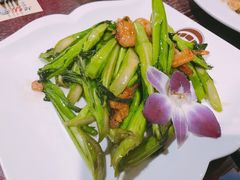 生炒菜心-超级厨房概念餐厅(奥园广场店)