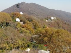-紫金山天文台