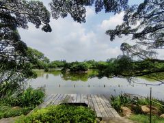 -江心屿景区