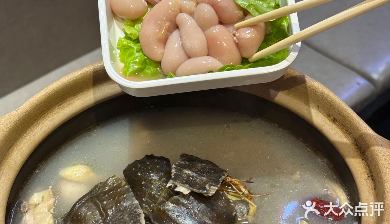晋江探店｜性价比超高的甲鱼鸡煲