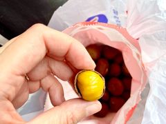 -阿男野栗王(金门路店)