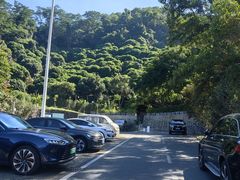 -凤岗南门山森林公园